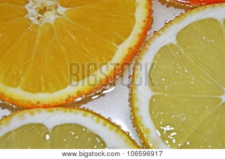 CITRUS
