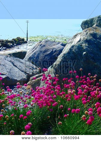 Seascape floreale