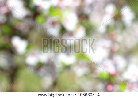 Abstract Nature Background