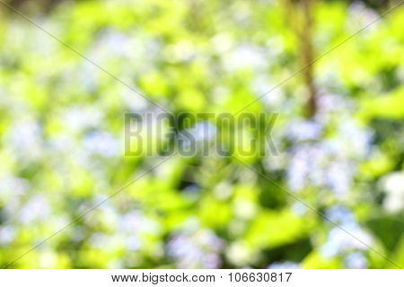 Abstract Nature Background