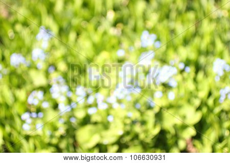 Abstract Nature Background