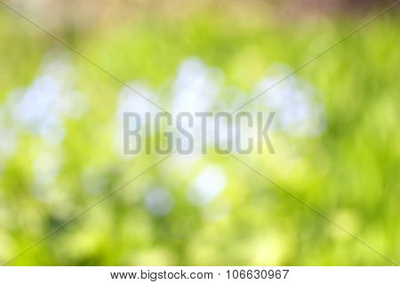 Abstract Nature Background