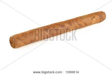 Cigar