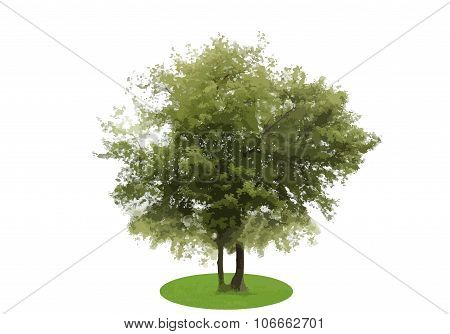 Colored Silhouette Tree Isolated on White Backgorund. Vecrtor Il