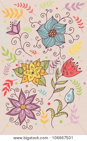 Floral illustration