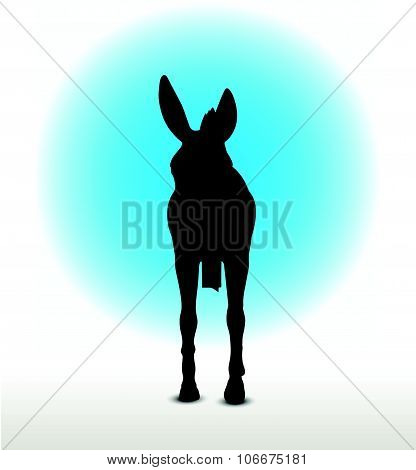 Donkey Silhouette