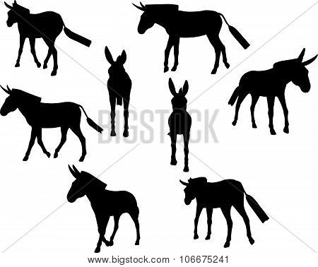 Donkey Silhouette