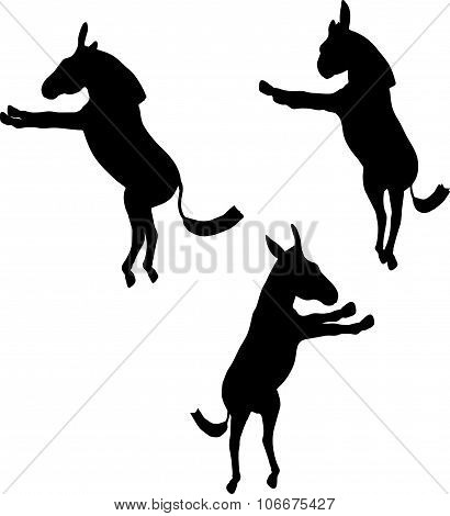 Donkey Silhouette