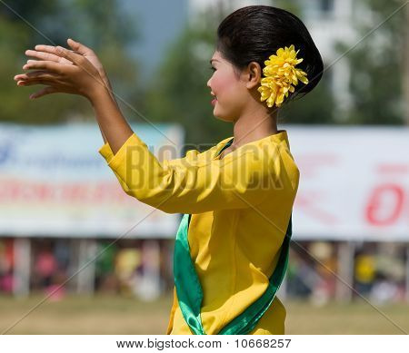 die jährlichen Elefant-Roundup in Surin, thailand