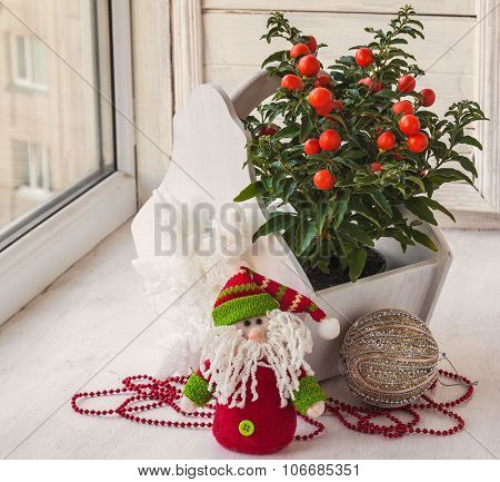 Window Decoration For The Winter Holidays With A Toy And Nightshade (mass-produced)