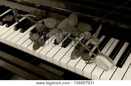 Condolence Card - Rose On Piano