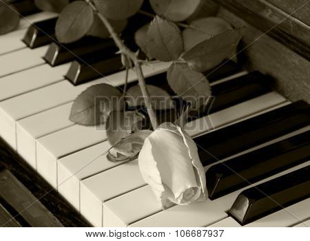 Condolence Card - Rose On Piano