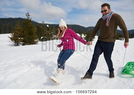 romantic winter  scene, happy young couple having fun on fresh show on winter vacatio, mountain nature landscape