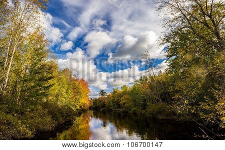 Autumn Stream