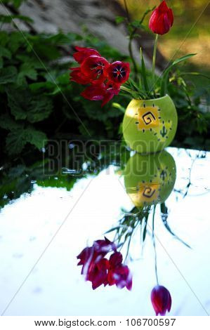 Beautiful tulips