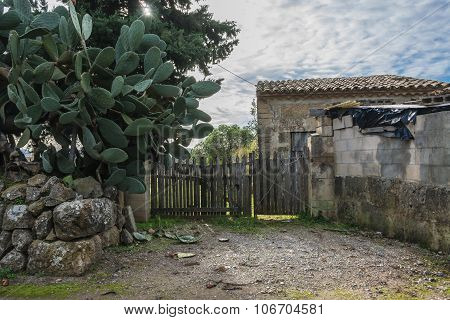 Typical abandoned finca with stone hut and wooden fence and big green cactus