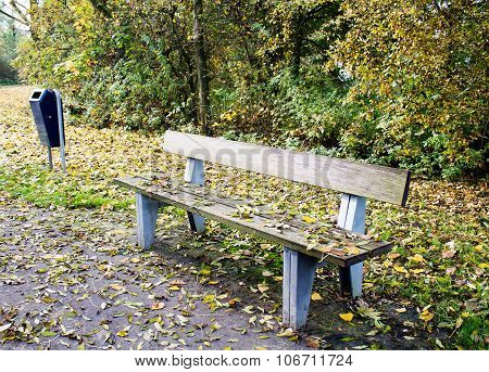 Autumn