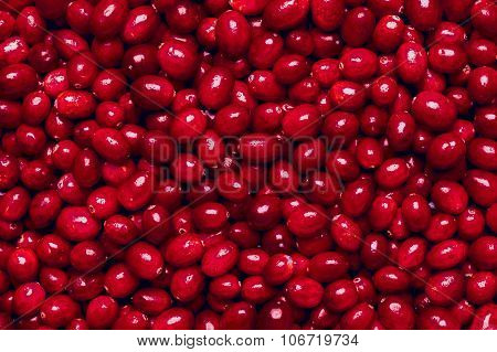 Fresh Cornell Berries Background - Texture