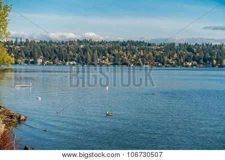 Seward Park - Island 2