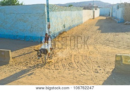 The Man On Donkey
