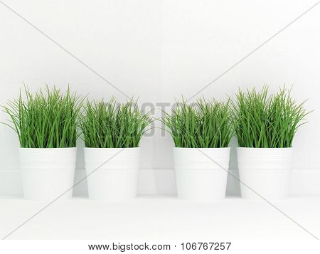 Green grass