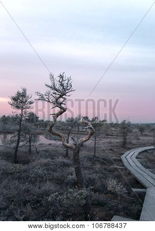 Kemeri National Park
