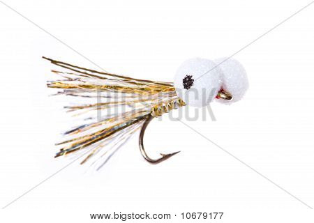 Appât de pêche mouche boobie