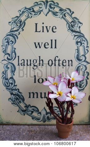 Sweet beautiful fragrant flower frangipani (plumeria) in vintage style background