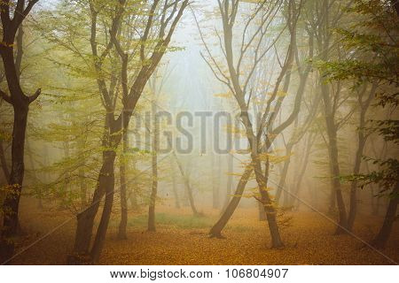 October morning