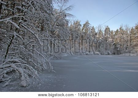 Winter Peyzazh.bereg Icy River. Trees Branches Bent Under The Weight Of Snow
