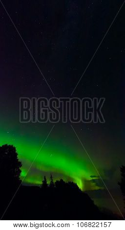 Stars Over Green Aurora
