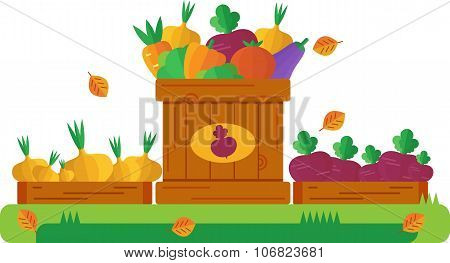 Three Wooden Boxes  With Autumn Vegetables. Vector Illustration In Flat Style. Autumn Organic Vegeta