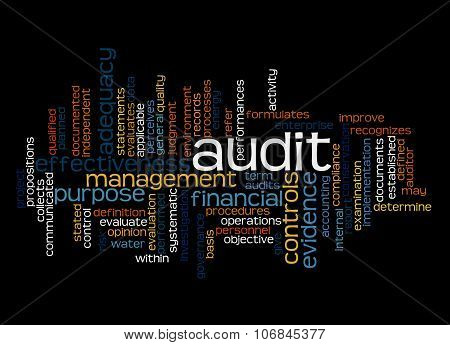 Word Cloud Of Audit And Its Related Words