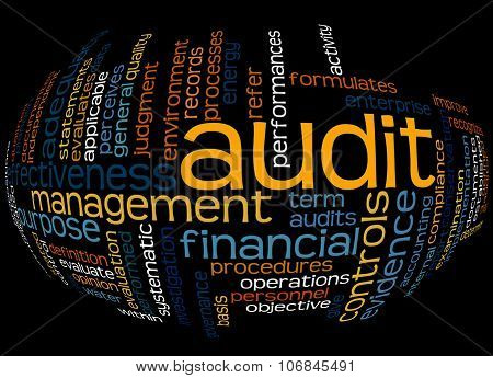 Word Cloud Of Audit And Its Related Words