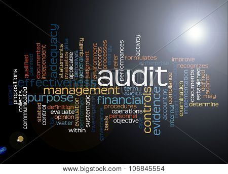Word Cloud Of Audit And Its Related Words
