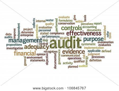 Word Cloud Of Audit And Its Related Words