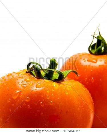 Tomato