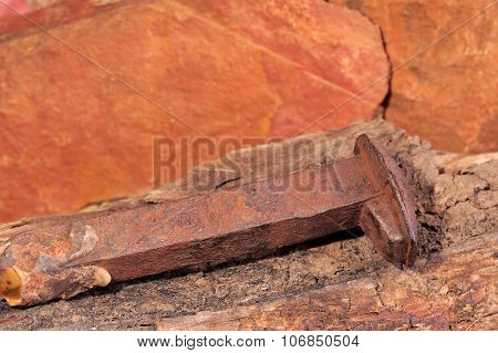 Rusted nail of the original Ghan railway line on a piece of rotten timber