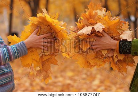 Golden Leaves In Hands.