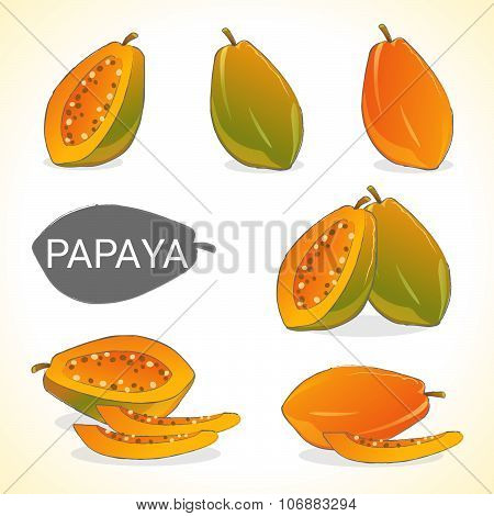 set of papaya fruit in vector and various styles for your design