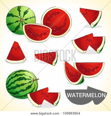 set of watermelon fruit in vector and various styles for your design