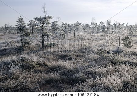 Kemeri National Park