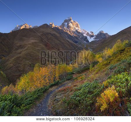 Autumn landscape. The path in the mountains. Birch forest on the slope. View of Mount Ushba. Sunny morning. Main Caucasian ridge. Zemo Svaneti, Georgia 