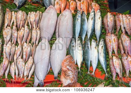 Fish for sale in Istanbul
