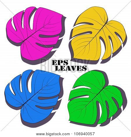 leaves
