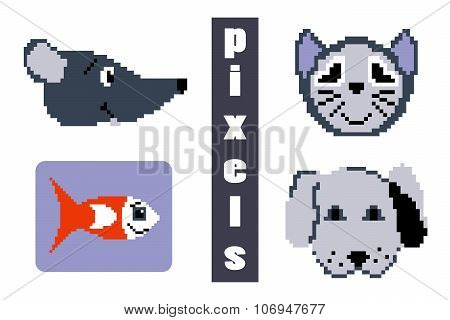 pixel pets