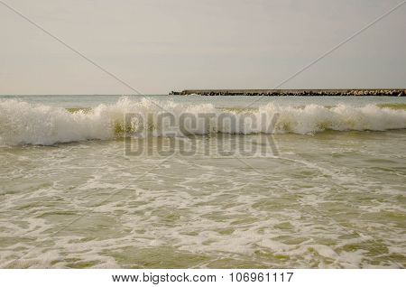 surf