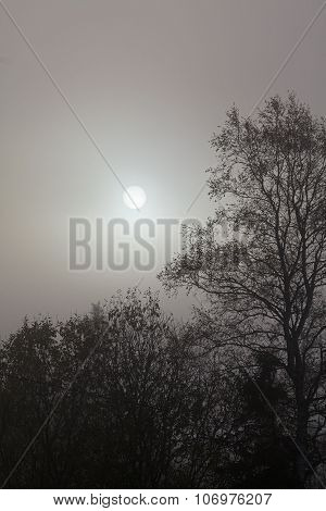 Sun Breaking Through