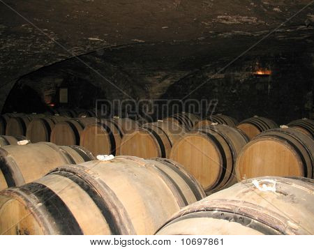 Fudders vino In una cantina