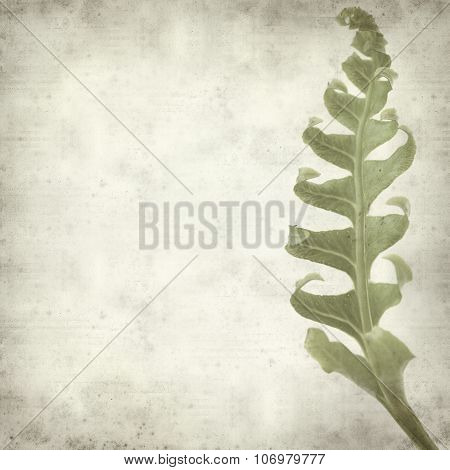 Textured Old Paper Background